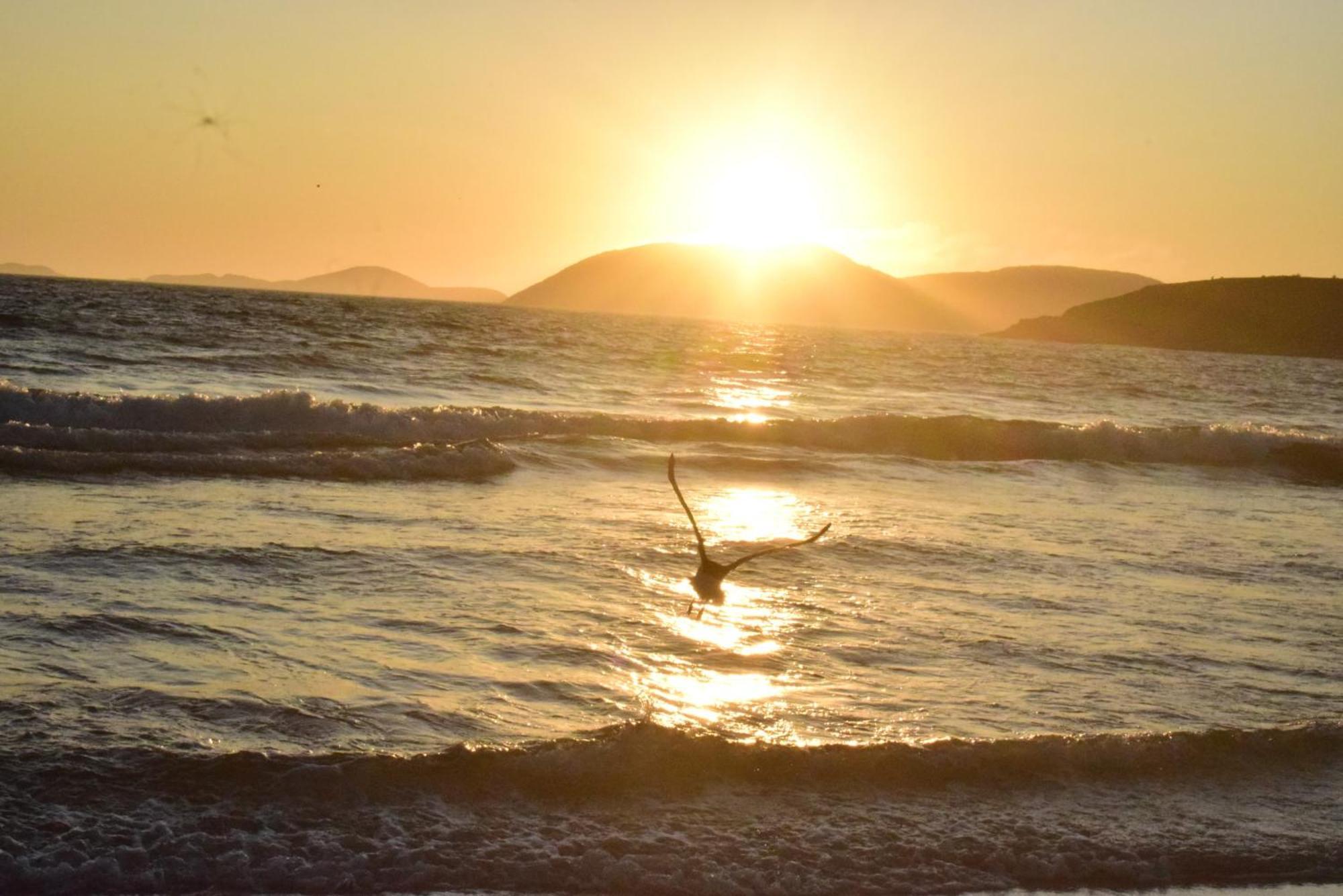 Casa Verde Do Pero Cabo Frio Eksteriør bilde